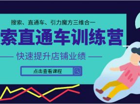 搜索直通车训练营第二期 快速提升店铺业绩 搜索、直通车、引力魔方三维合一