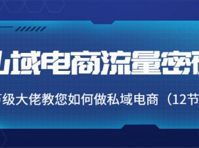 私域电商流量密码：千万级大佬教您如何做私域电商（12节课）