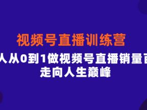 视频号直播训练营，素人从0到1做视频号直播销量百万，走向人生巅峰