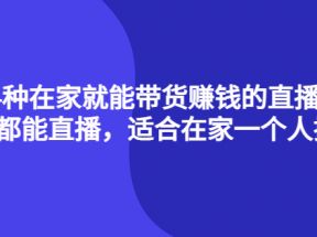 4种在家就能带货赚钱的直播课，人人都能直播，适合在家一个人操作