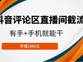 抖音评论区直播间截流，有手+手机就能干，门槛极低，模式可大量复制（价值1888元）