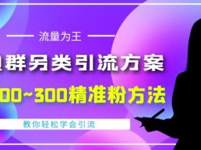  价值888的QQ群另类引流方案，半自动操作日200~300精准粉方法【视频教程】