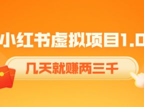 《小红书虚拟项目1.0》账号注册+养号+视频制作+引流+变现，几天就赚两三千