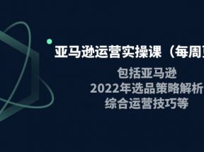 亚马逊运营实操课，包括亚马逊2022选品策略解析，综合运营技巧等 