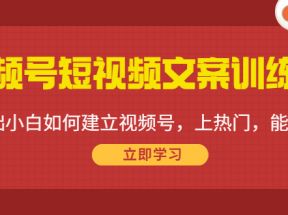 视频号短视频文案训练营：0基础小白如何建立视频号，上热门，能卖货