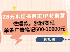 28天小红书博主IP特训营《第9期》做爆款，涨粉变现 单条广告笔记500-10000