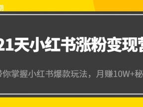 21天小红书涨粉变现营（第4期）：带你掌握小红书爆款玩法，月赚10W+秘密