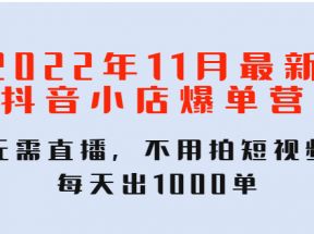 2022年11月最新抖音小店爆单营：无需直播，不用拍短视频，每天出1000单