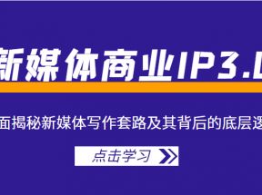  新媒体商业IP3.0，全面揭秘新媒体写作套路及其背后的底层逻辑（价值1299元）