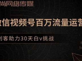 创客江湖录微信视频号百万流量运营，创客助力30天白V挑战售价399元