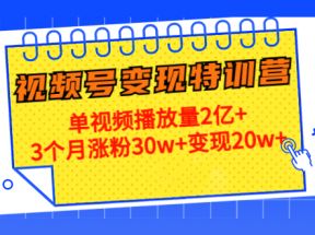 21天视频号变现特训营：单视频播放量2亿+3个月涨粉30w+变现20w+（第14期）