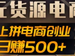 抖上拼无货源电商创业项目、外面收费12800，日赚500+的案例解析参考