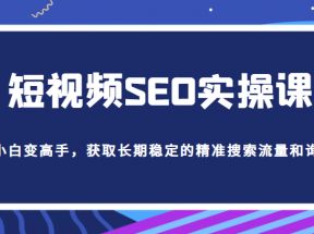 短视频SEO实操课，帮助你从短视频SEO小白变高手，获取长期稳定的精准搜索流量和询单