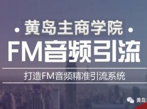 黄岛主《FM音频引流特训营1.0》亲身操作每天30-50量，转化超级高~【价值980元】