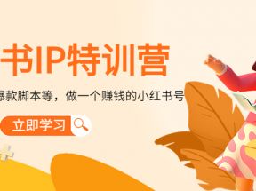 小红书IP特训营：从搭建-制作-爆款脚本等等，做一个赚钱的小红书号