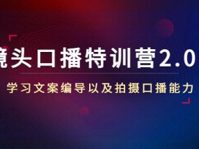 镜头口播特训营2.0版，学习文案编导以及拍摄口播能力（50节课时）