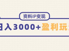 资料IP变现，能稳定日赚3000起的持续性盈利玩法