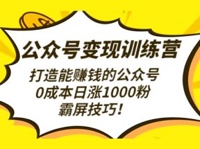 公众号变现训练营（第3期）打造能赚钱的公众号，0成本日涨1000粉，霸屏技巧