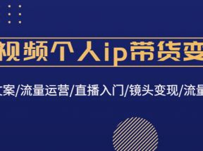 短视频个人ip带货变现：爆款文案/流量运营/直播入门/镜头变现/流量商业