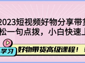 短视频好物分享带货，好物带货高级课程，轻松一句点拨，小白快速上手