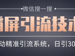 微信搜一搜霸屏引流技术，打造被动精准引流系统，轻松日引300+流量