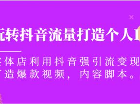 玩转抖音流量打造个人IP，实体店利用抖音强引流变现，打造爆款视频，内容脚本