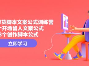 短视频带货脚本文案公式训练营：18个开场留人文案公式，18个创作脚本公式