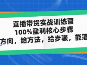 直播带货实战训练营：100%盈利核心步骤，给方向，给方法，给步骤，能落地