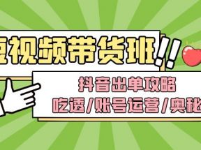 短视频带货内训营：抖音出单攻略，吃透/账号运营/奥秘，轻松带货