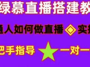 普通人怎样做抖音，新手快速入局 详细攻略，无绿幕直播间搭建 快速成交变现 