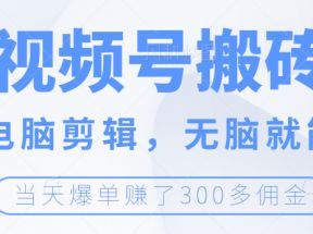 视频号无脑搬砖带货，会电脑剪辑无脑就能干，当天爆单赚300+佣金