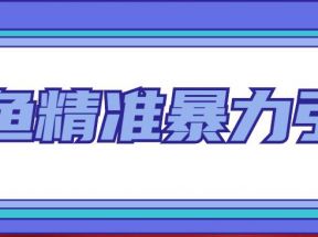 闲鱼精准暴力引流全系列课程，每天被动精准引流200+客源技术（8节视频课）