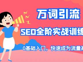 万词引流-SEO全阶实战训练营，0基础入门，快速成为流量高手