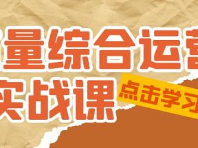 流量综合·运营实战课：短视频、本地生活、个人IP知识付费、直播带货运营