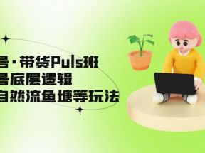 视频号·带货Puls班，视频号底层逻辑，起号自然流鱼塘等玩法