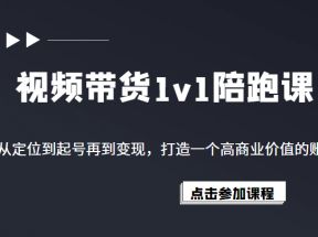 视频带货1v1陪跑课，从定位到起号再到变现，打造一个高商业价值的账号