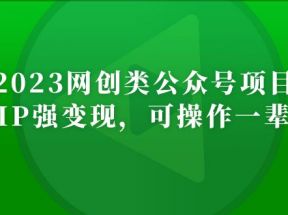 网创类公众号月入过万项目，强IP强变现，可操作一辈子