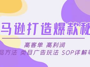 亚马逊打造爆款秘诀：高客单 高利润 推品方法 类目广告玩法 SOP详解等等