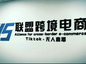 Tiktok无人直播，不出镜不剪辑不拍摄不发货无售后的跨境短视频躺赚玩法