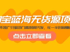 淘宝蓝海无货源项目，不囤货不推广只做冷门高利润代发，花一半时间赚10倍钱