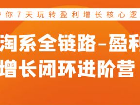 淘系全链路-盈利增长闭环进阶营，带你7天玩转盈利增长核心逻辑