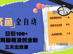 咸鱼全自动暴力引创业粉课程，日引100+三天出效果