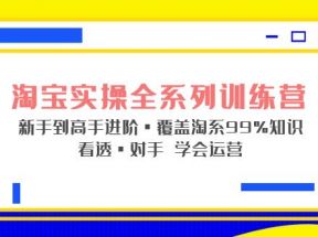 淘宝实战宝典+淘系全系列进阶，初级到进阶，覆盖淘系99%的知识，看透对手自然会运营 