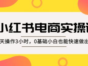 小红书·电商实操课：每天操作3小时，0基础小白也能快速做出爆款