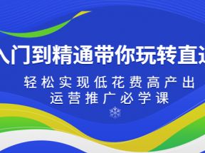 从入门到精通带你玩转直通车：轻松实现低花费高产出，35节运营推广必学课