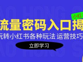 小红书流量密码入口揭秘：带你玩转小红书各种玩法 运营技巧+优化