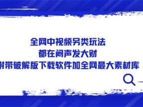 全网中视频另类玩法，都在闷声发大财，附带破解版下载软件加全网最大素材库