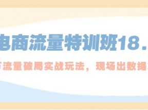 电商流量特训班18.0，直引万流量破局实操玩法，现场出数据拿结果 