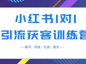 小红书1对1引流获客训练营：账号、内容、引流、成交（价值3999元）