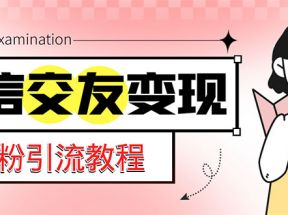 微信交友变现项目，吸引全网LSP男粉精准变现，小白也能轻松上手，日入500+